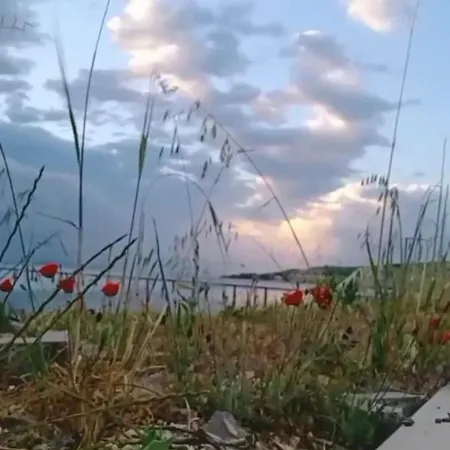 Διαμέρισμα Full Of Peace... Sea View, Barbecue And Fireplace.