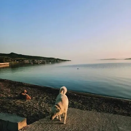 Full Of Peace... Sea View, Barbecue And Fireplace. Βουρλά
